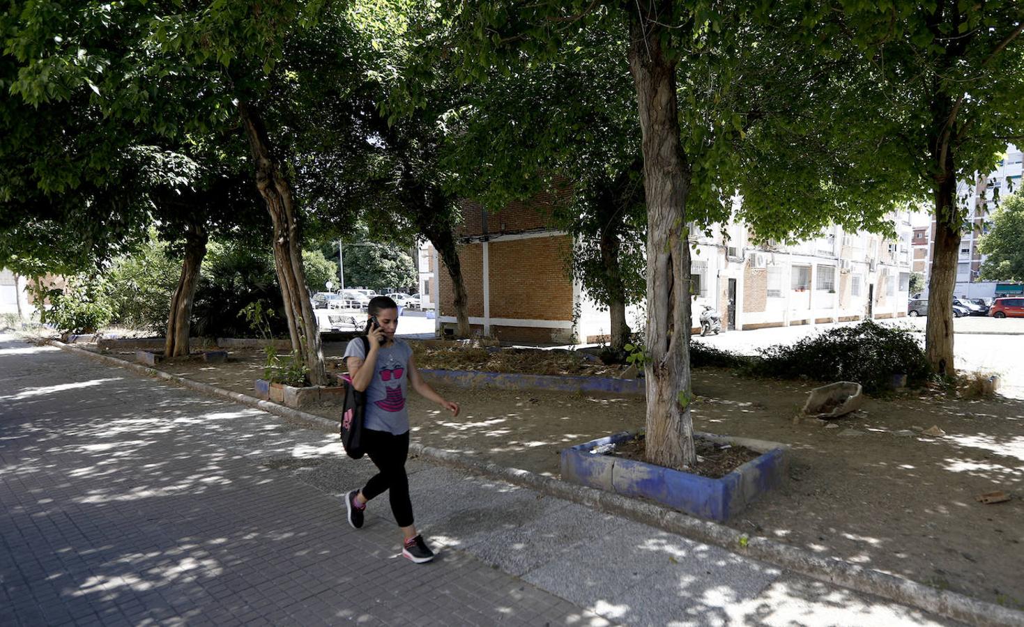 Los barrios de Córdoba que agotan su paciencia, en imágenes