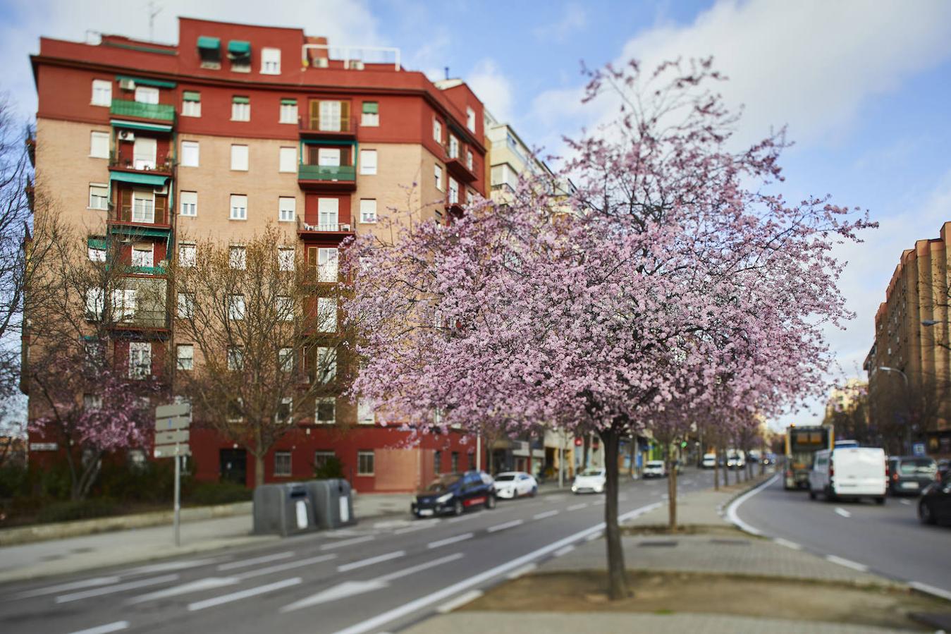 Un bulevar para Santa María de la Cabeza. La estructura fue demolida en 2001 y la plaza del Capitán Cortés se transformó en un bulevar con varios carriles de circulación separados por una zona arbolada.