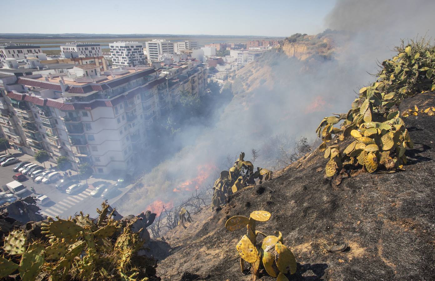 El incendio ha sido controlado a escasos metros de alcanzar varios bloques de viviendas y un centro de rehabilitación