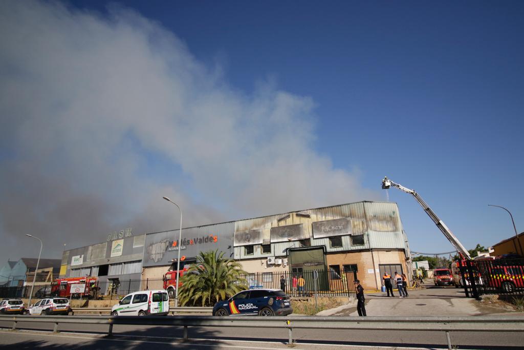 Las espectaculares imágenes del incendio en el polígono industrial Fuente del Rey