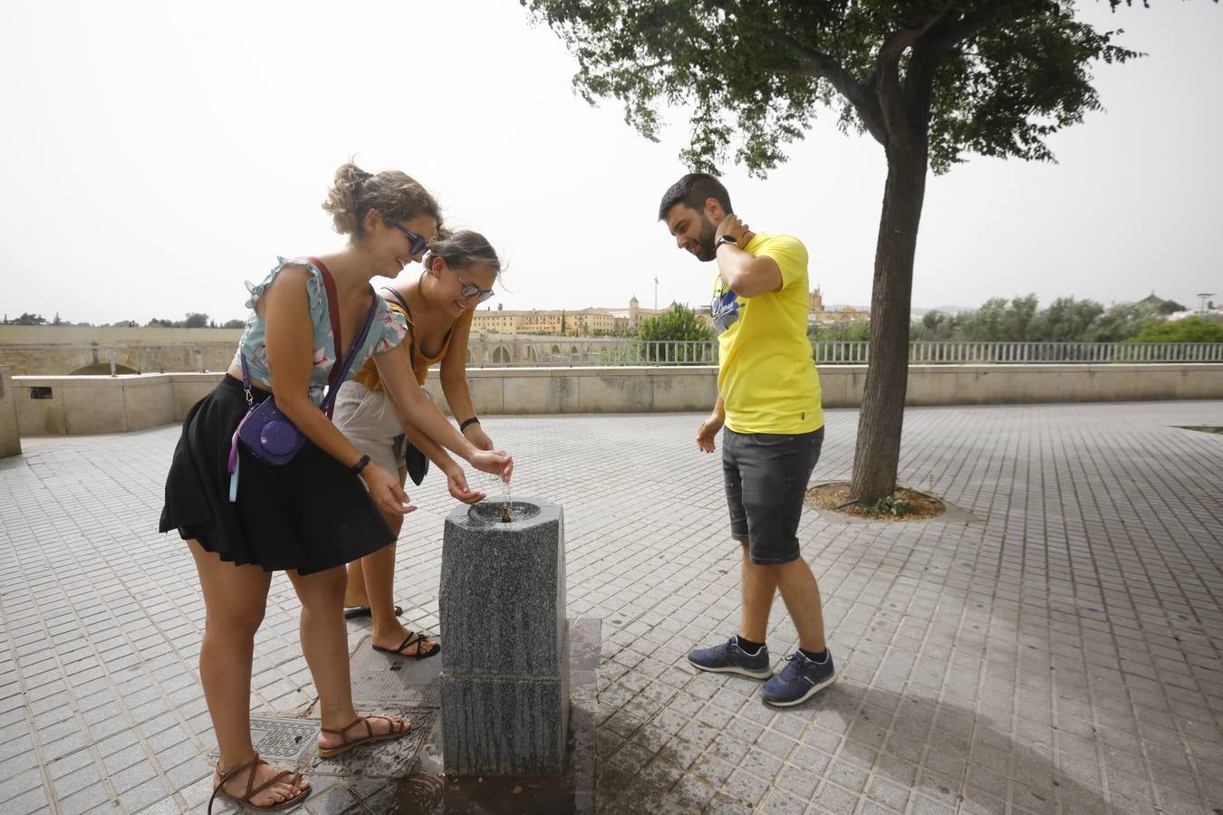 Ola de calor Córdoba | Paisaje desértico de un domingo a 40 grados