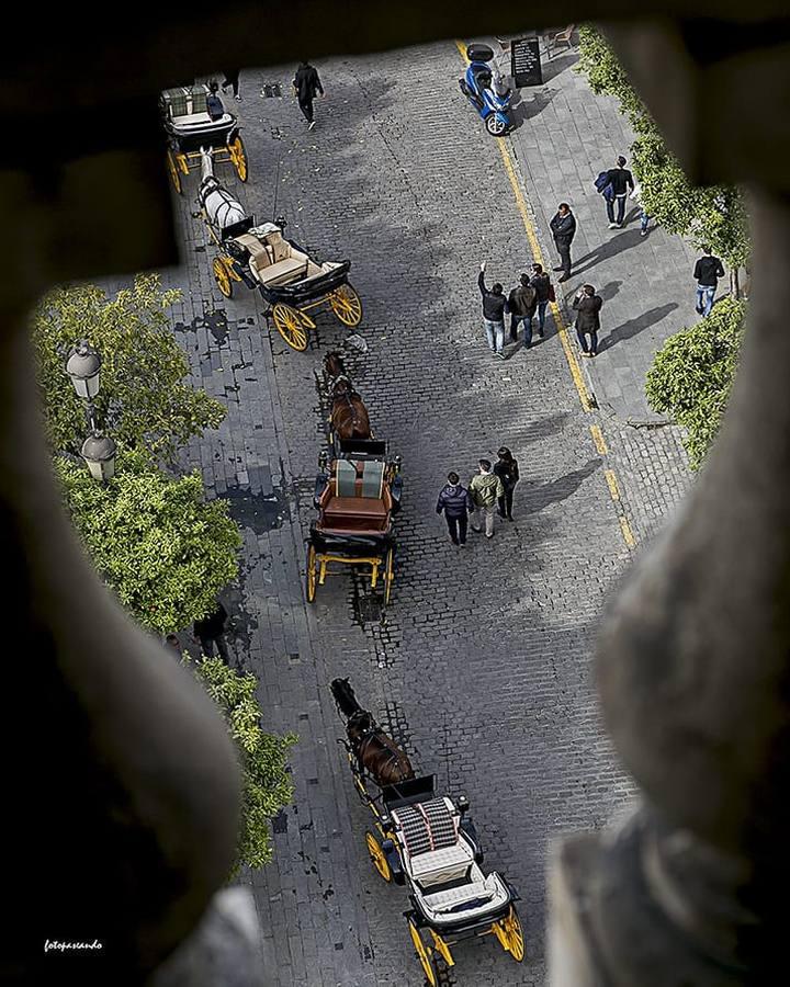 #RetoJunioABC: Sevilla desde las alturas, las imágenes recibidas en nuestro concurso del mes