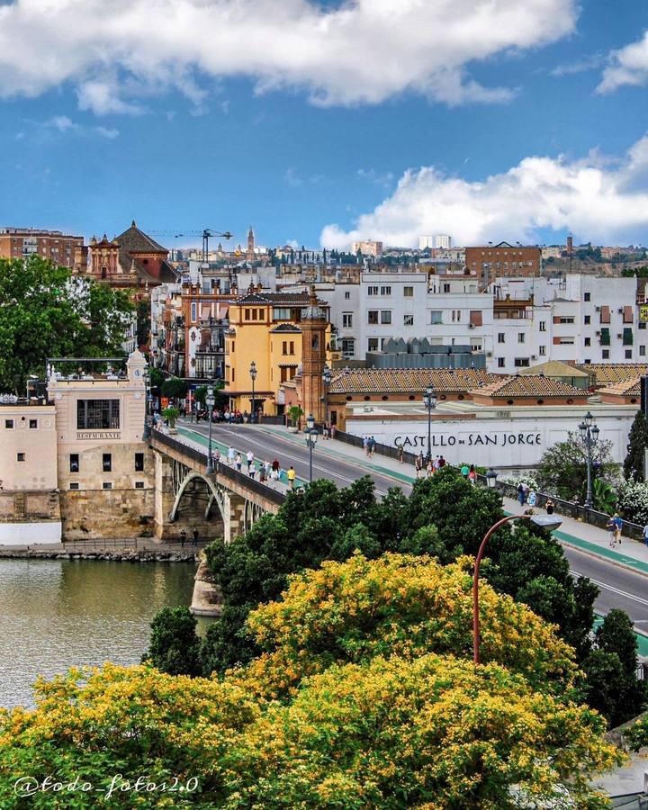 #RetoJunioABC: Sevilla desde las alturas, las imágenes recibidas en nuestro concurso del mes