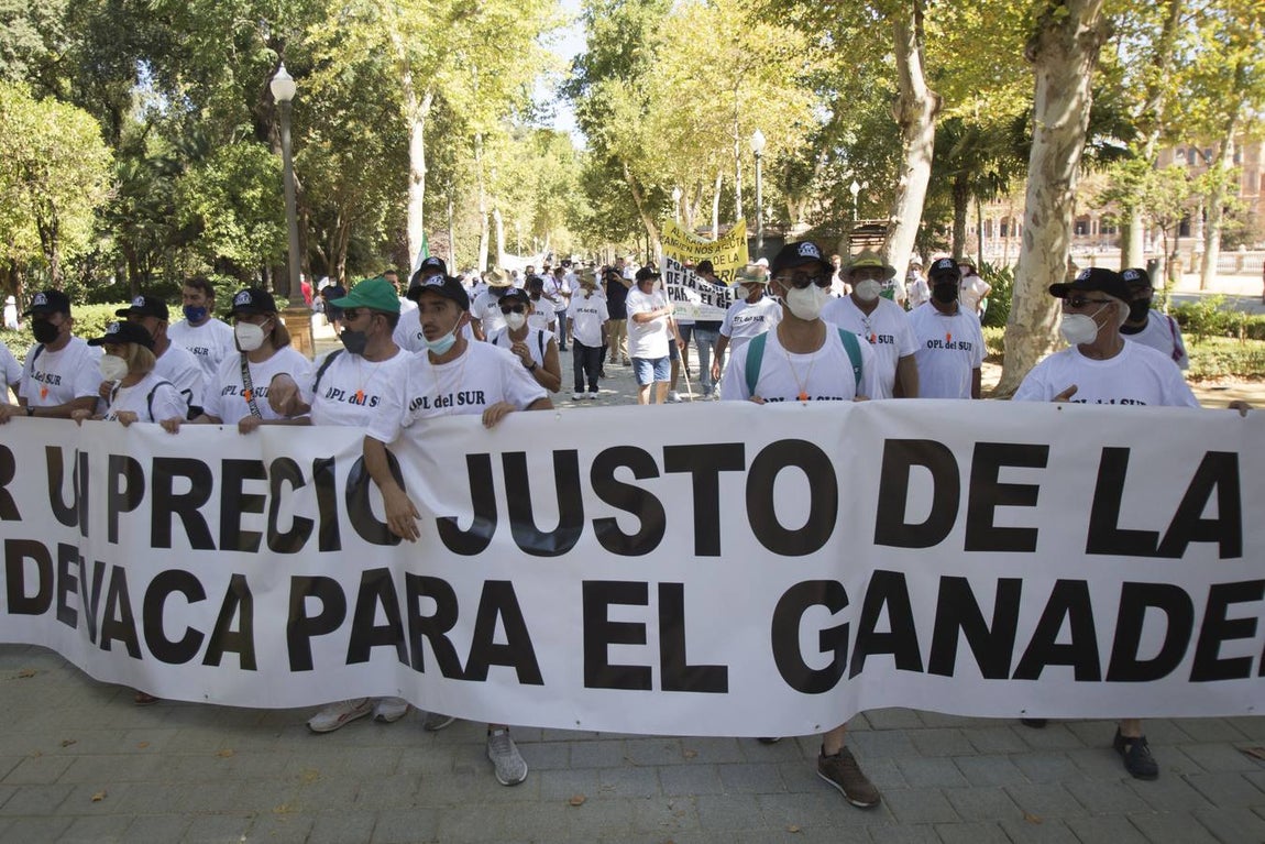 Los ganaderos no pueden soportar los costes de producción de la leche con los precios que le impone el mercado