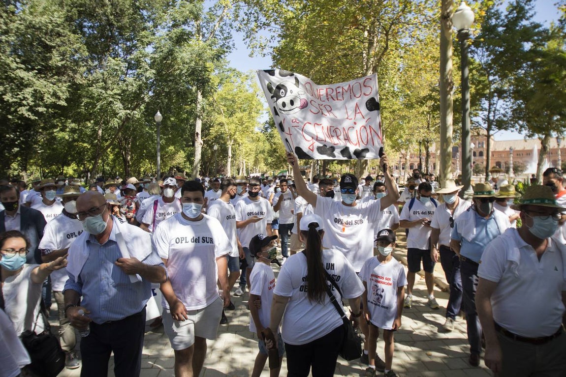 Los ganaderos no pueden soportar los costes de producción de la leche con los precios que le impone el mercado