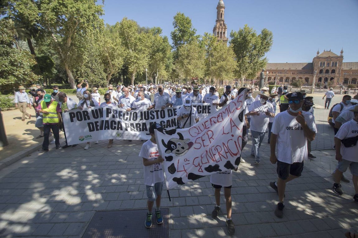 Los ganaderos no pueden soportar los costes de producción de la leche con los precios que le impone el mercado