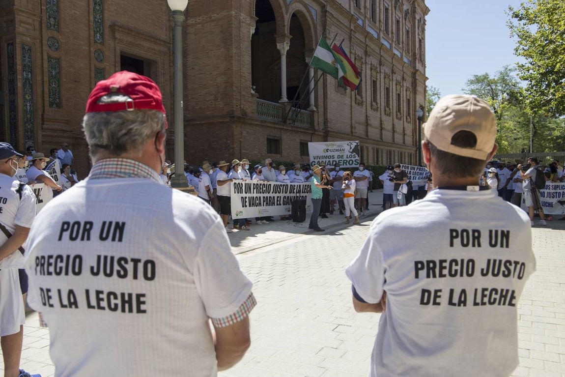 Los ganaderos no pueden soportar los costes de producción de la leche con los precios que le impone el mercado