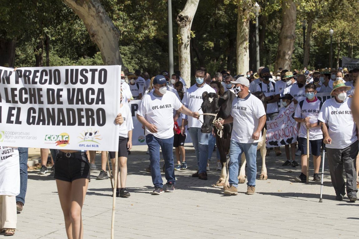 Los ganaderos no pueden soportar los costes de producción de la leche con los precios que le impone el mercado