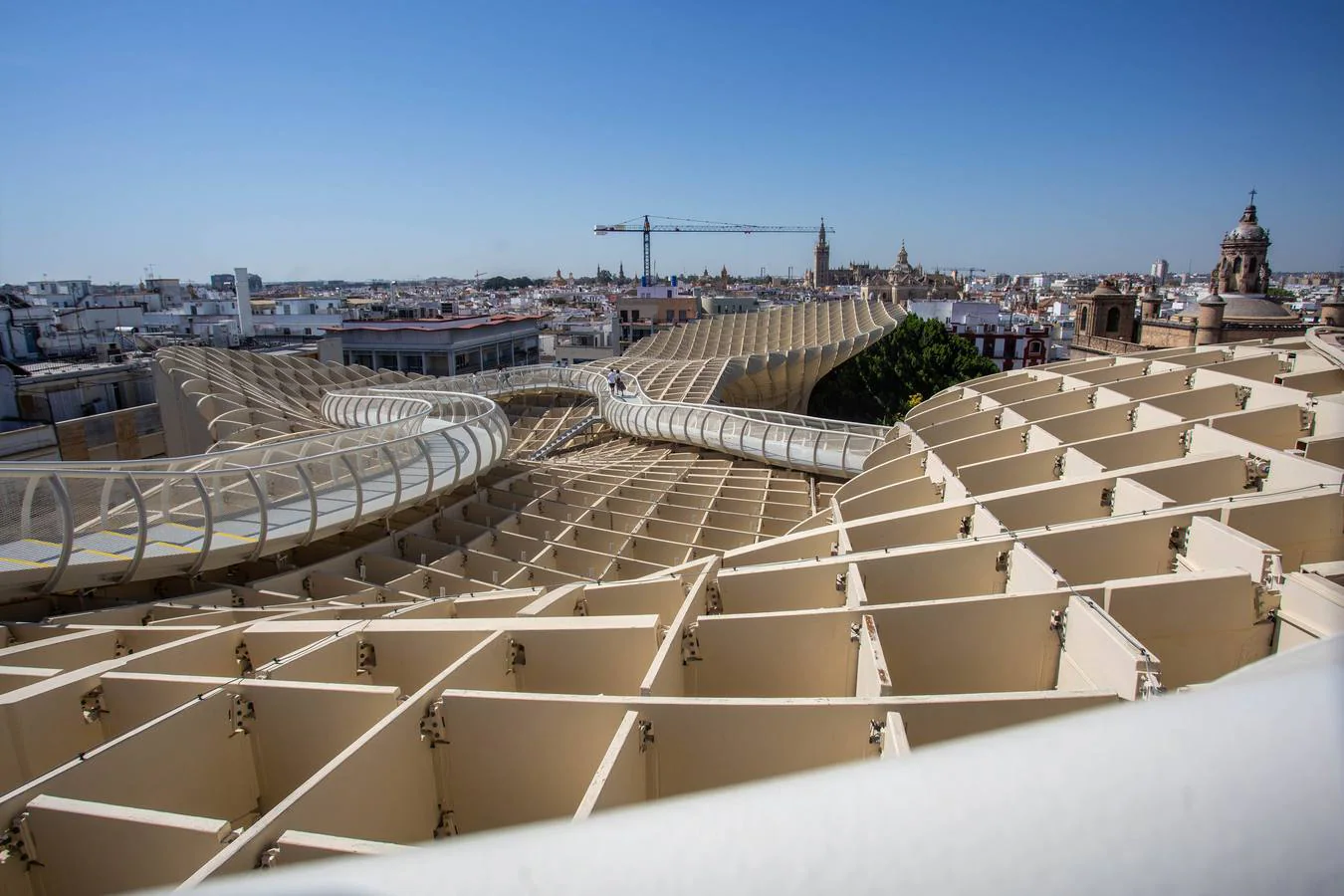 En su décimo aniversario las Setas de Sevilla presenta un nuevo espectáculo de iluminación, 'Aurora', de la nueva sala inmersiva Feeling Sevilla; una nueva web; una nueva App y la dotación de una red de wifi abierta