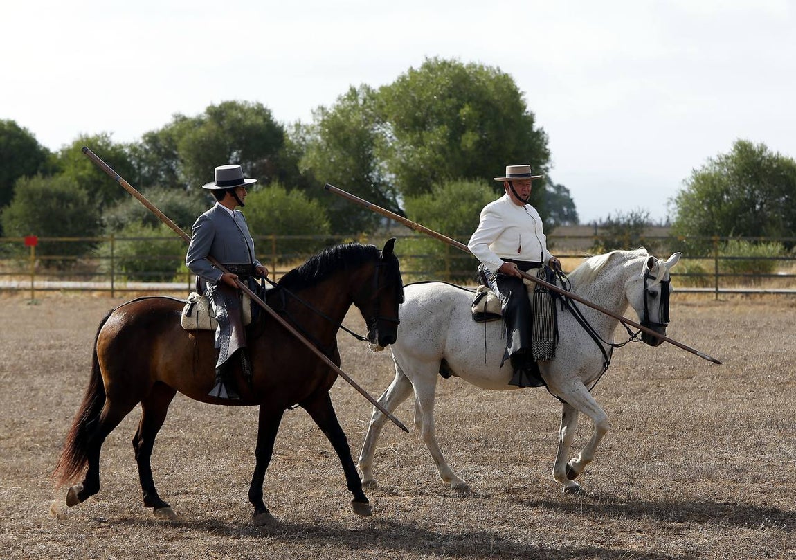En imágenes: encuentro entre Morante y Domecq para ver los toros de Torrestrella en el campo