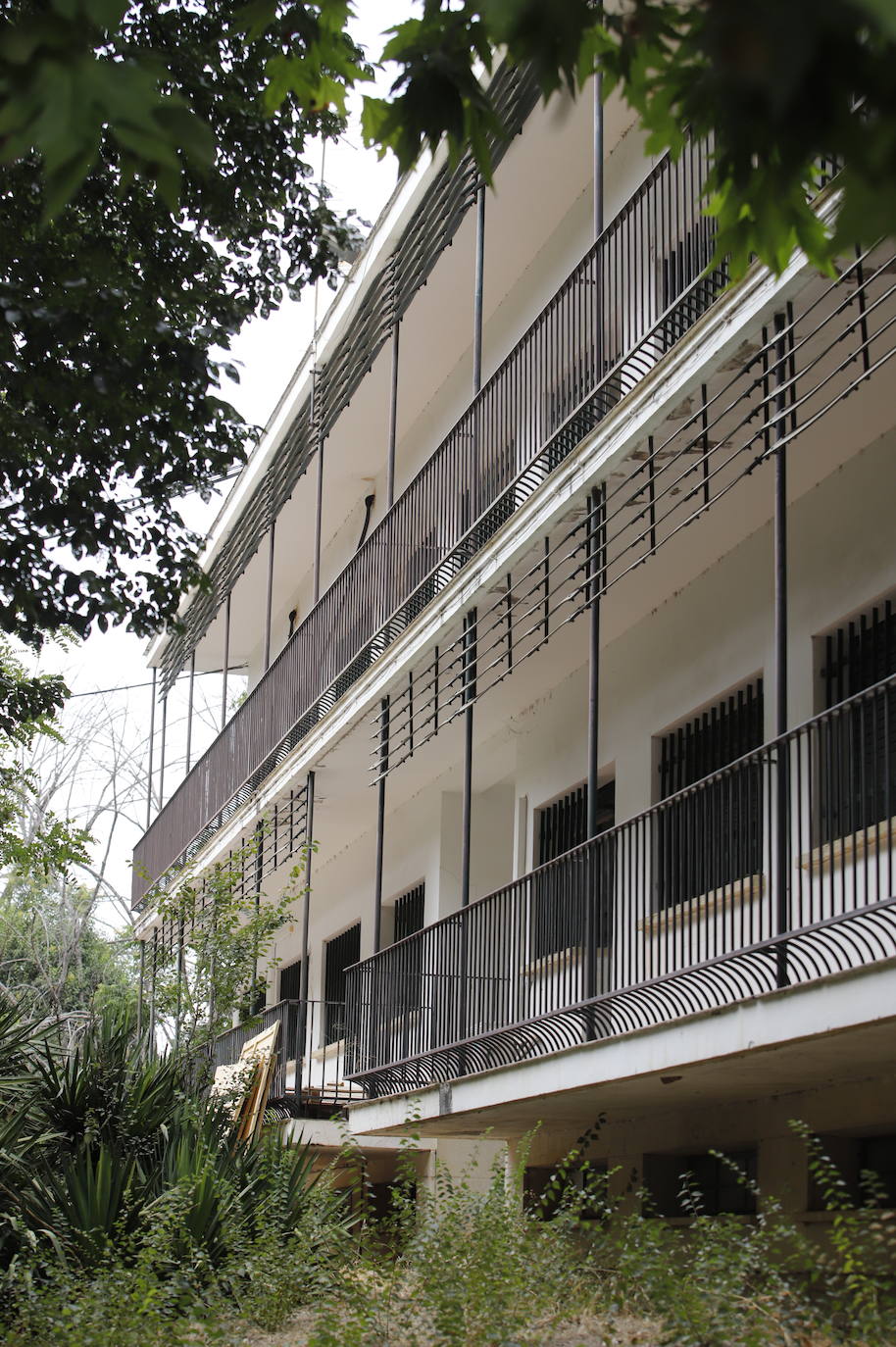 El estado de la Colonia San José de la Universidad de Córdoba, en imágenes