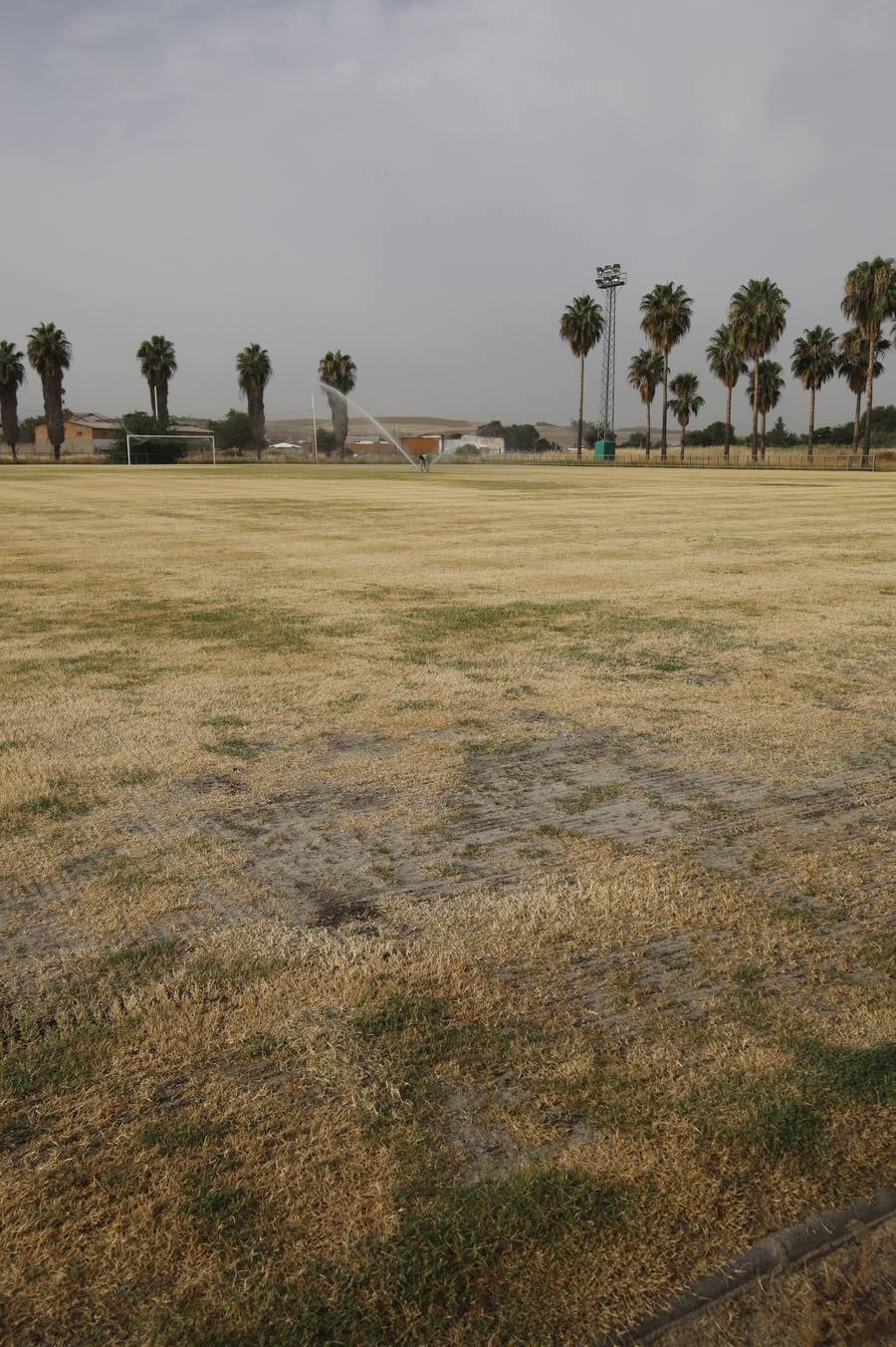 El mal estado de la Ciudad deportiva del Córdoba, en imágenes