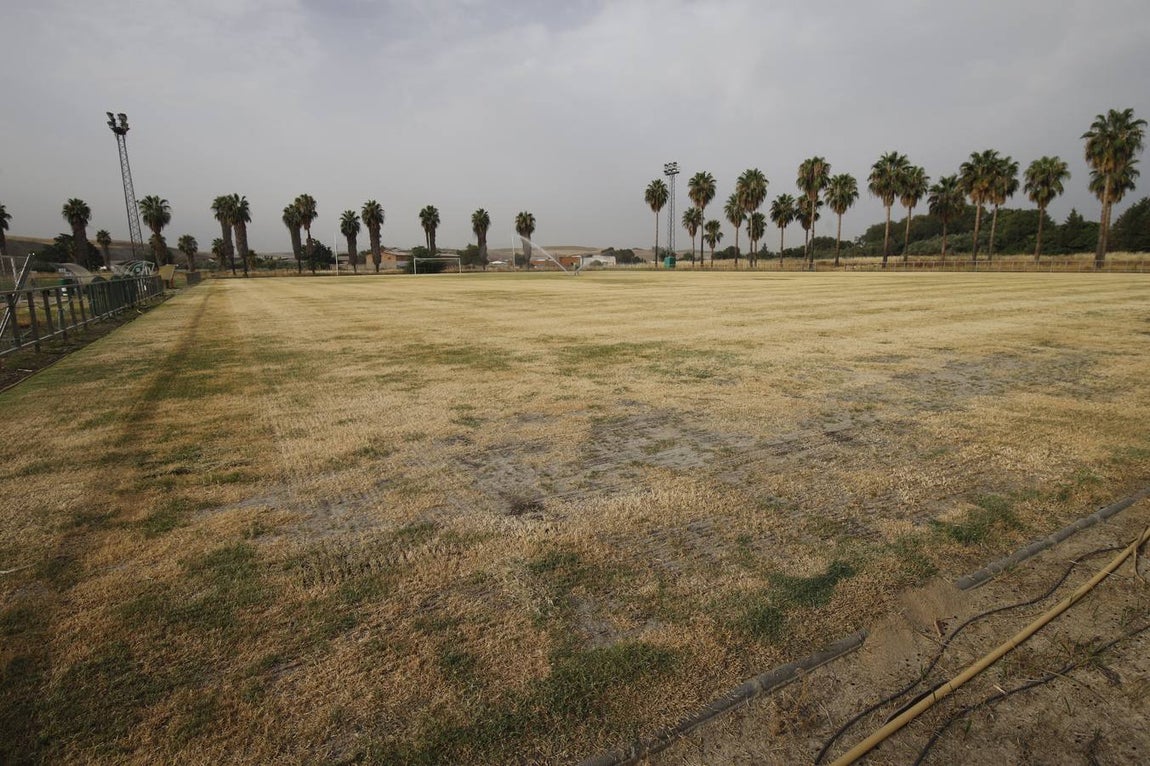 El mal estado de la Ciudad deportiva del Córdoba, en imágenes