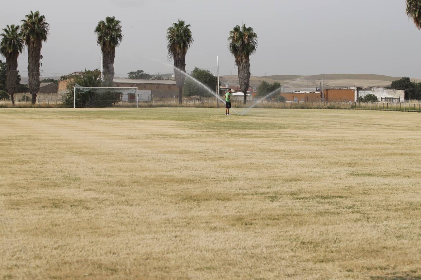 El mal estado de la Ciudad deportiva del Córdoba, en imágenes