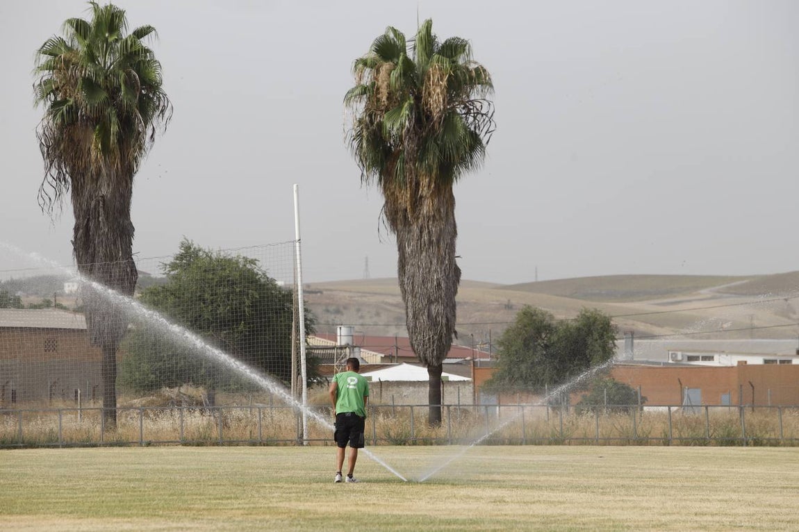 El mal estado de la Ciudad deportiva del Córdoba, en imágenes