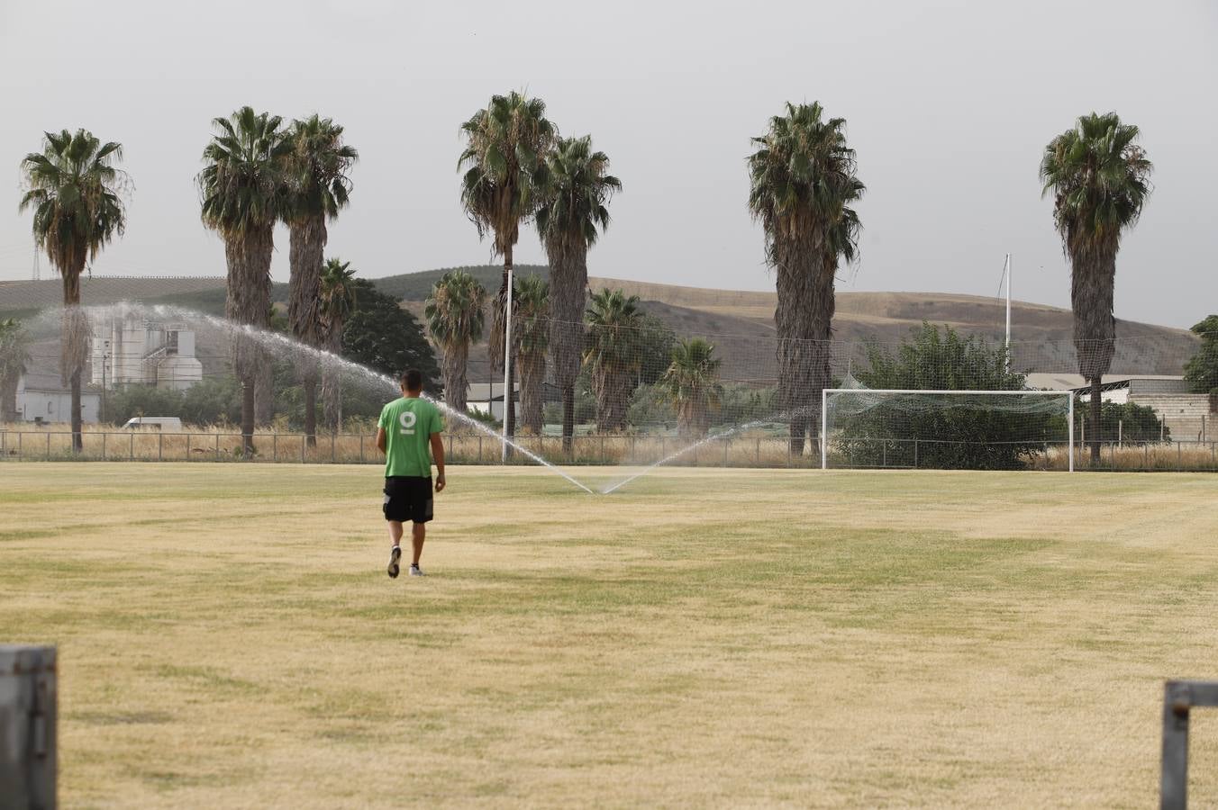 El mal estado de la Ciudad deportiva del Córdoba, en imágenes