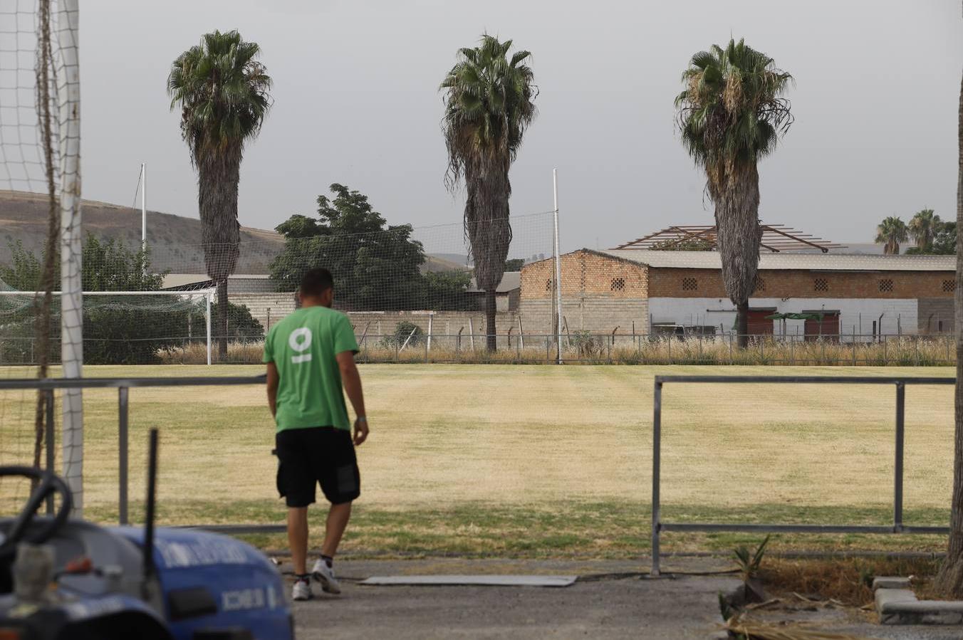 El mal estado de la Ciudad deportiva del Córdoba, en imágenes