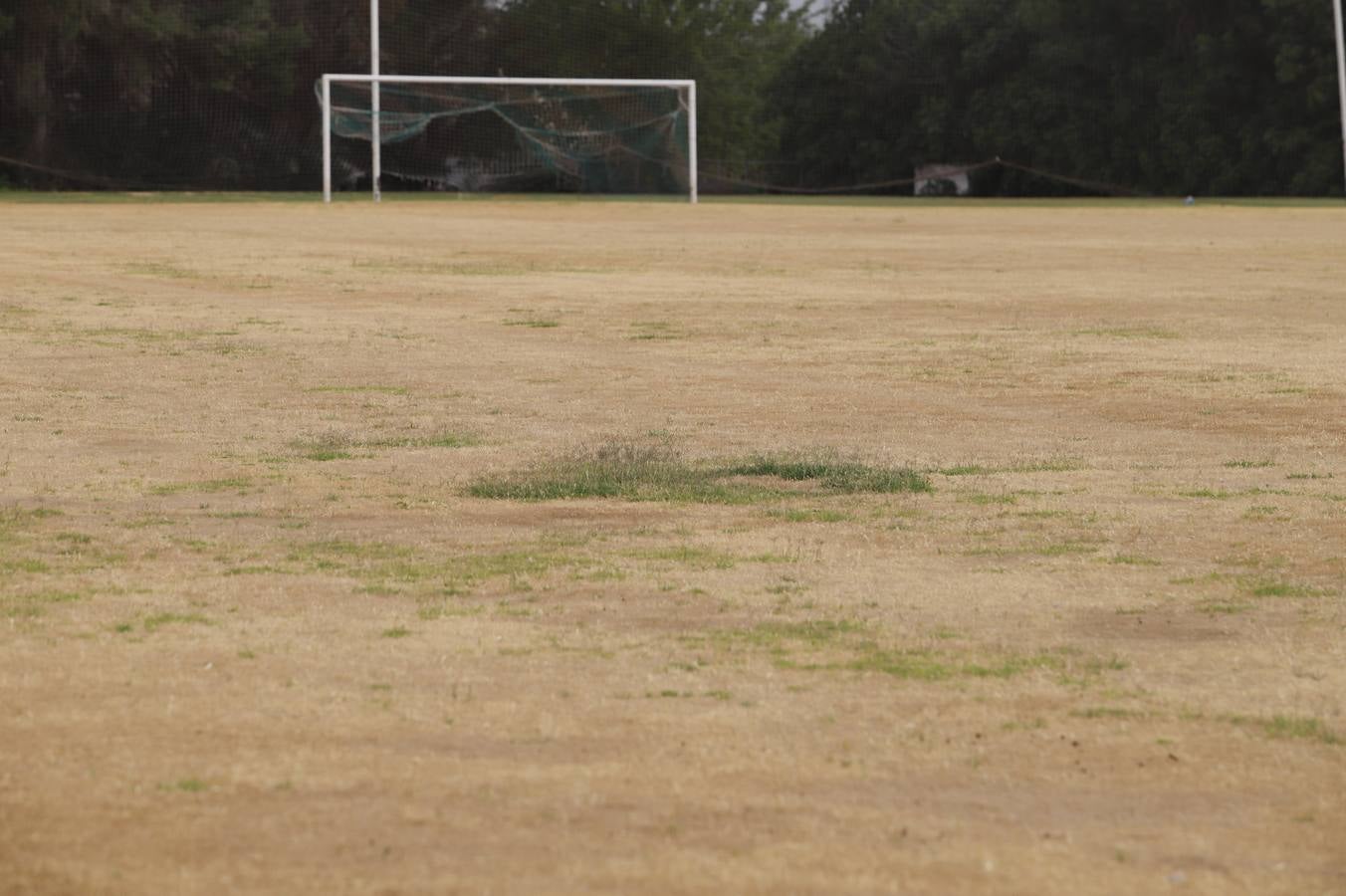 El mal estado de la Ciudad deportiva del Córdoba, en imágenes