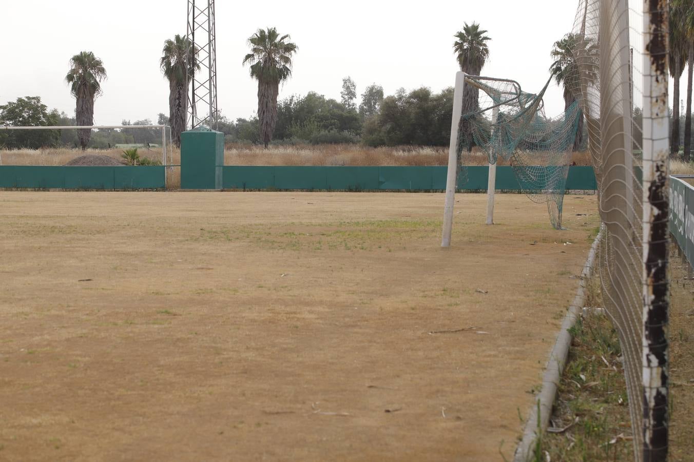 El mal estado de la Ciudad deportiva del Córdoba, en imágenes