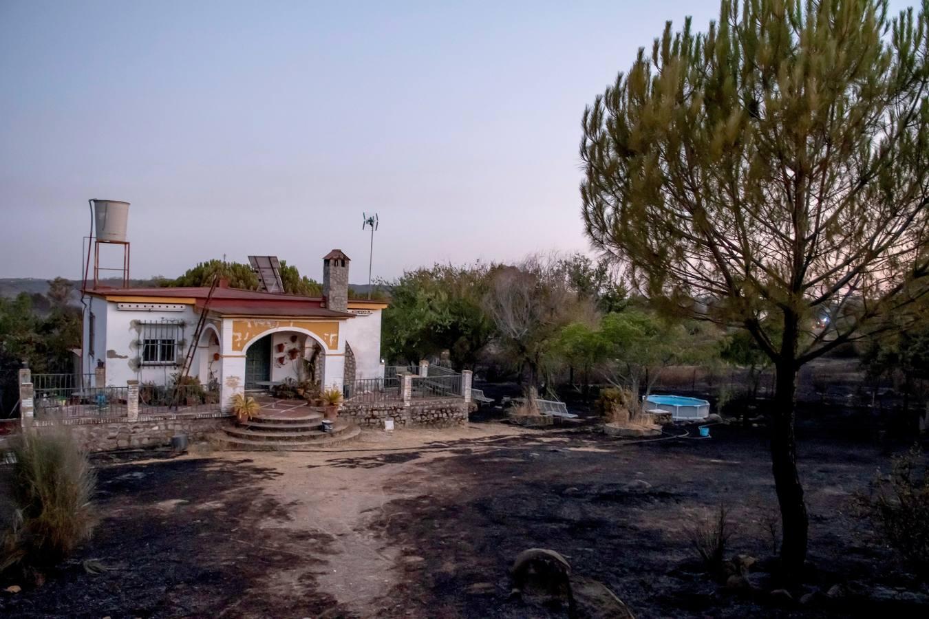 En imágenes, el incendio de El Ronquillo calcina 18 hectáreas de dehesa