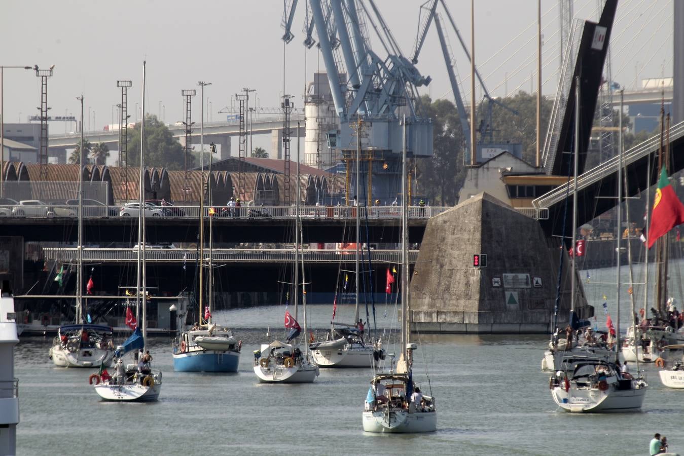 Los veleros se dirigen a Cádiz dejando una curiosa imagen en la dársena del Guadalquivir