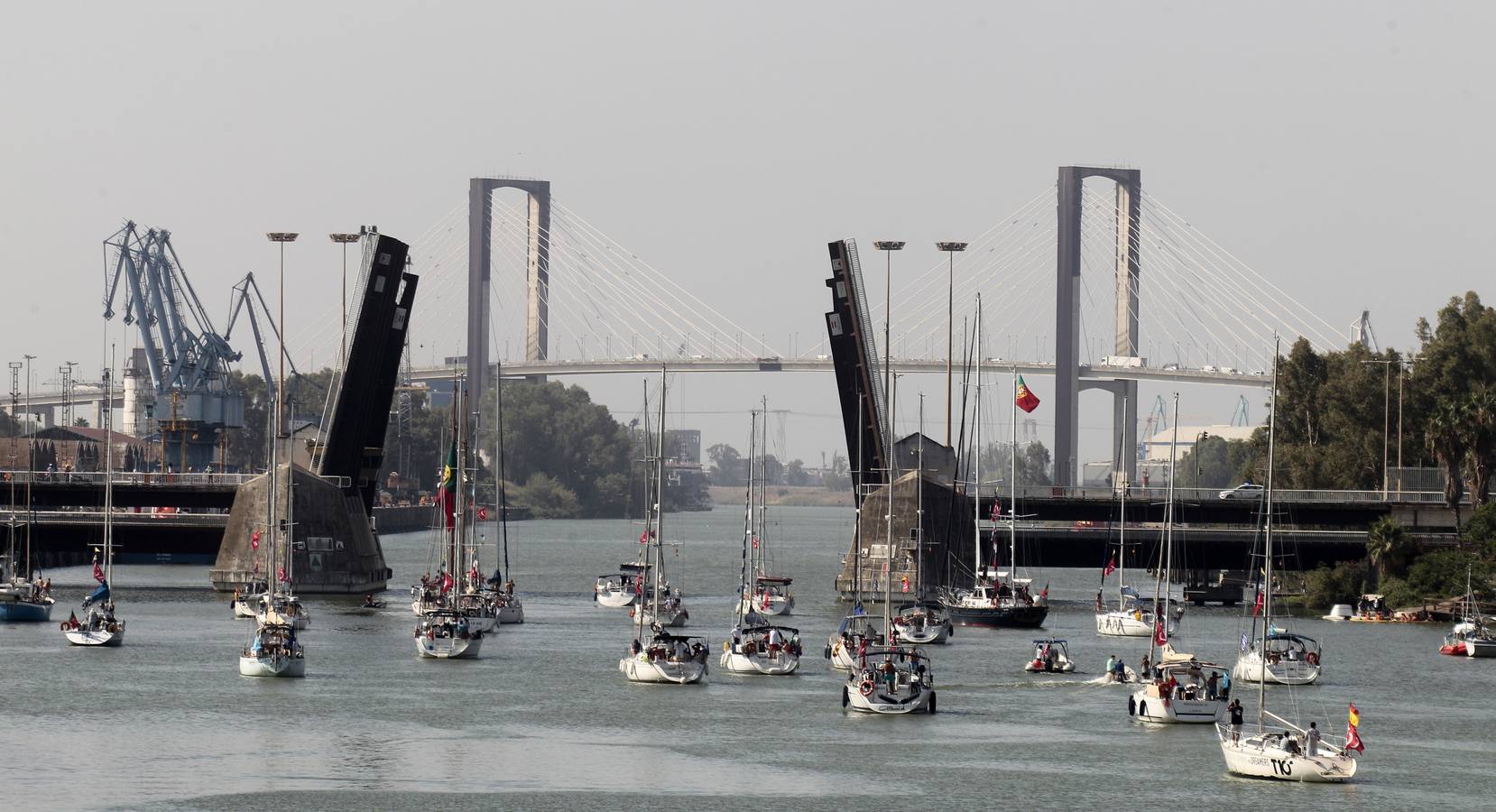 Los veleros se dirigen a Cádiz dejando una curiosa imagen en la dársena del Guadalquivir