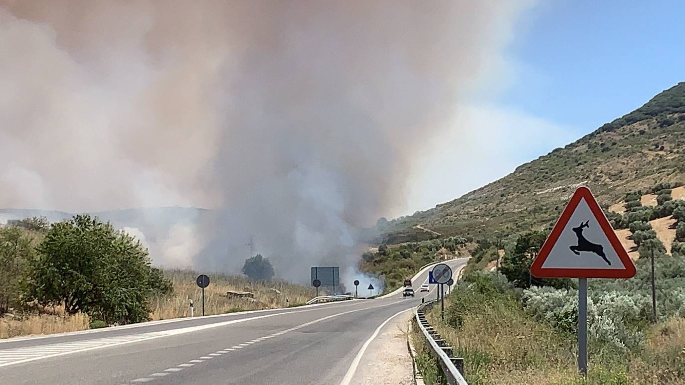 El incendio forestal en la Sierra de Cabra, en imágenes