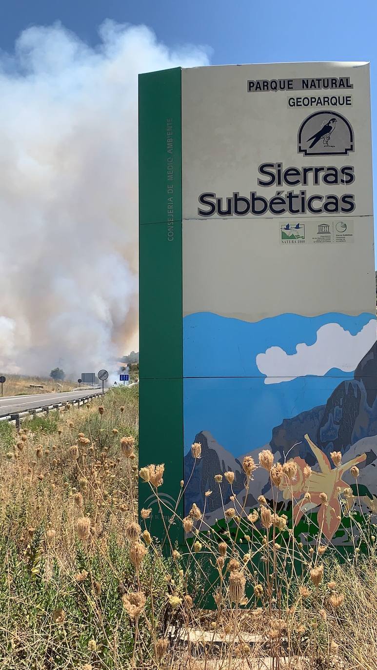 El incendio forestal en la Sierra de Cabra, en imágenes