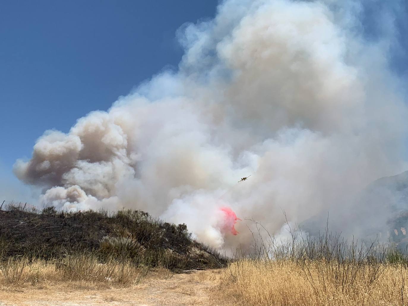 El incendio forestal en la Sierra de Cabra, en imágenes