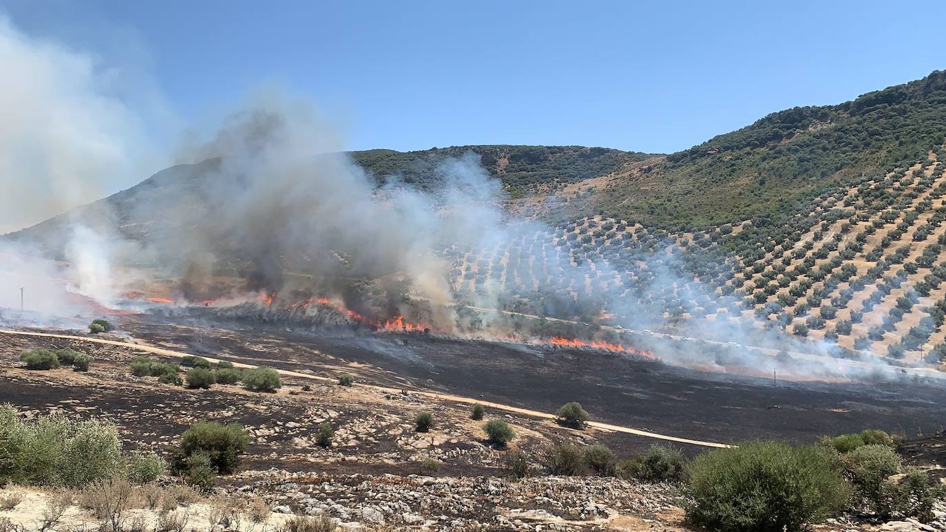 El incendio forestal en la Sierra de Cabra, en imágenes