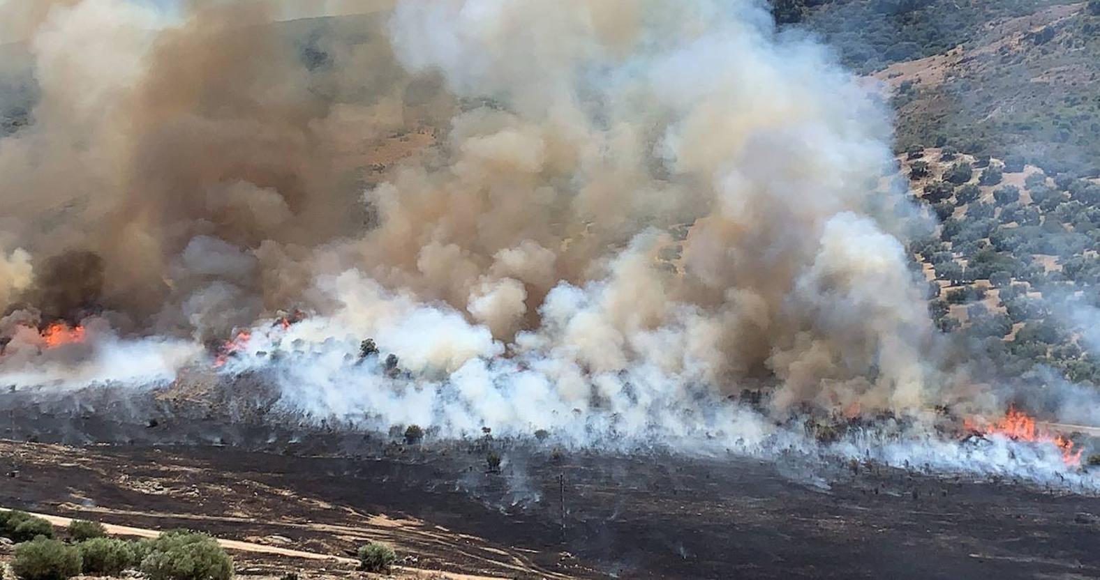 El incendio forestal en la Sierra de Cabra, en imágenes