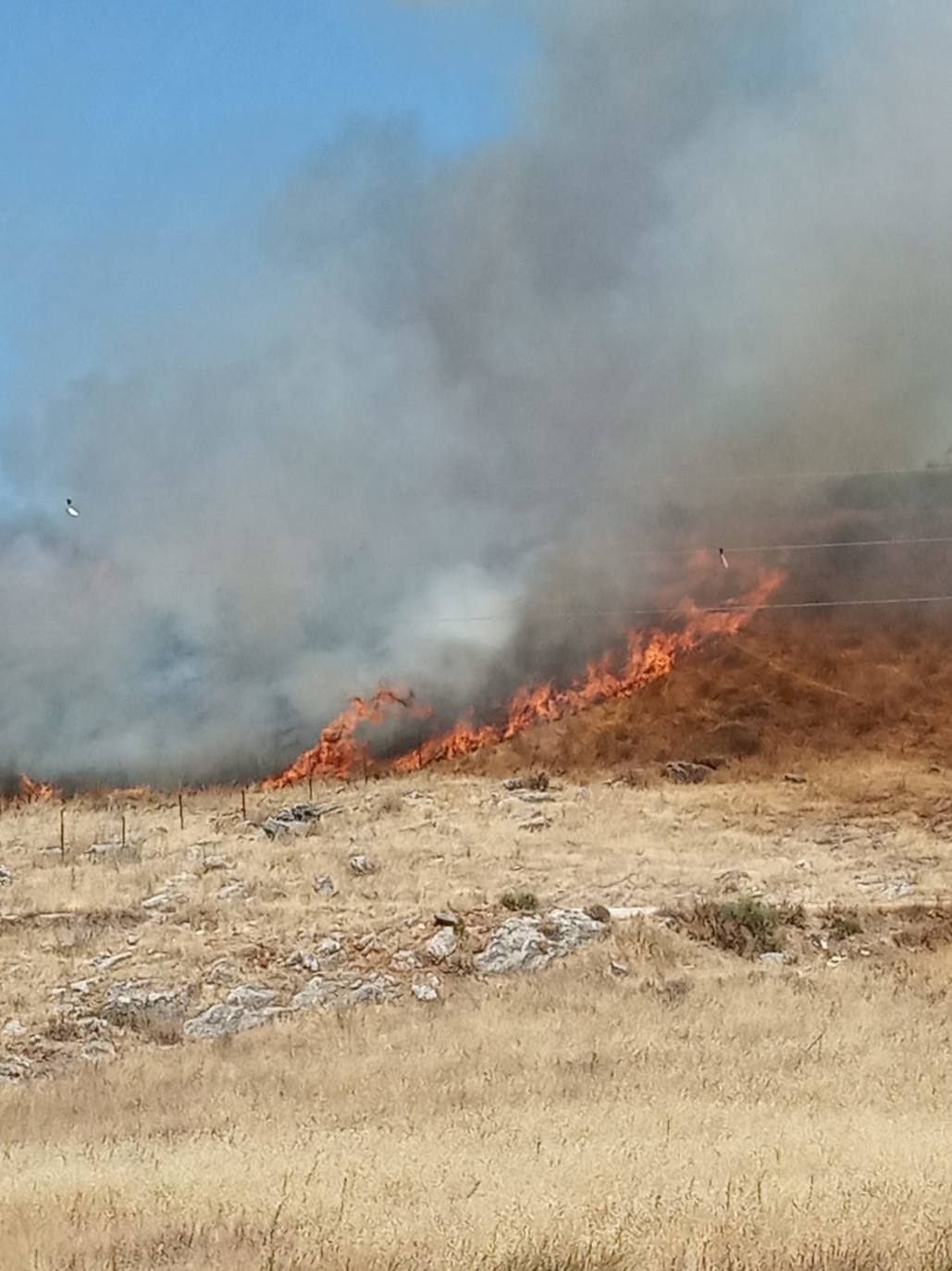 El incendio forestal en la Sierra de Cabra, en imágenes