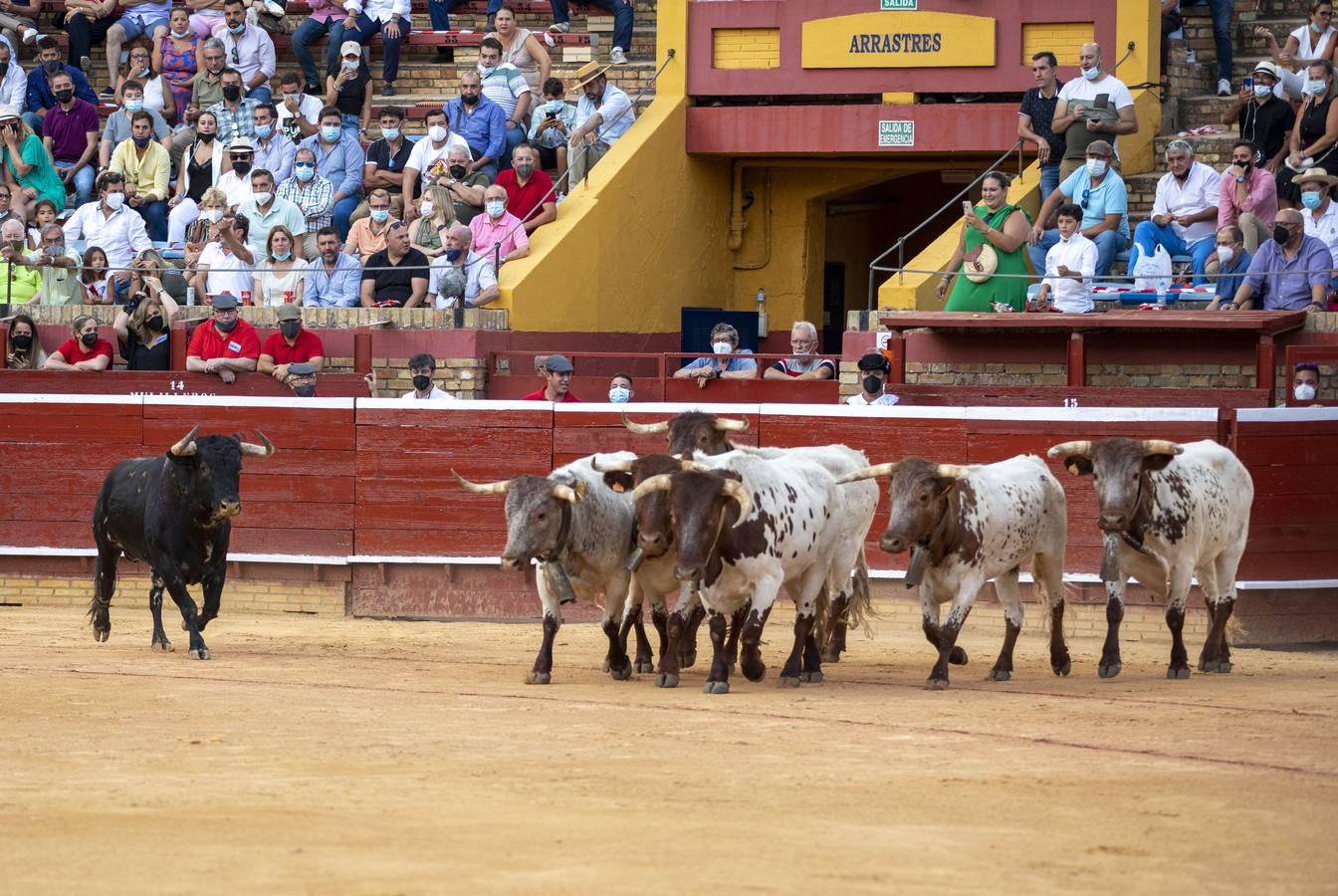 Un triunfal Daniel Luque suaviza el decepcionante retorno de Torrestrella