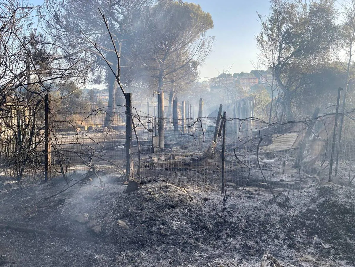Las llamas destruyen zonas de la reserva natural de Pineta Dannunziana en Pescara, Italia. 
