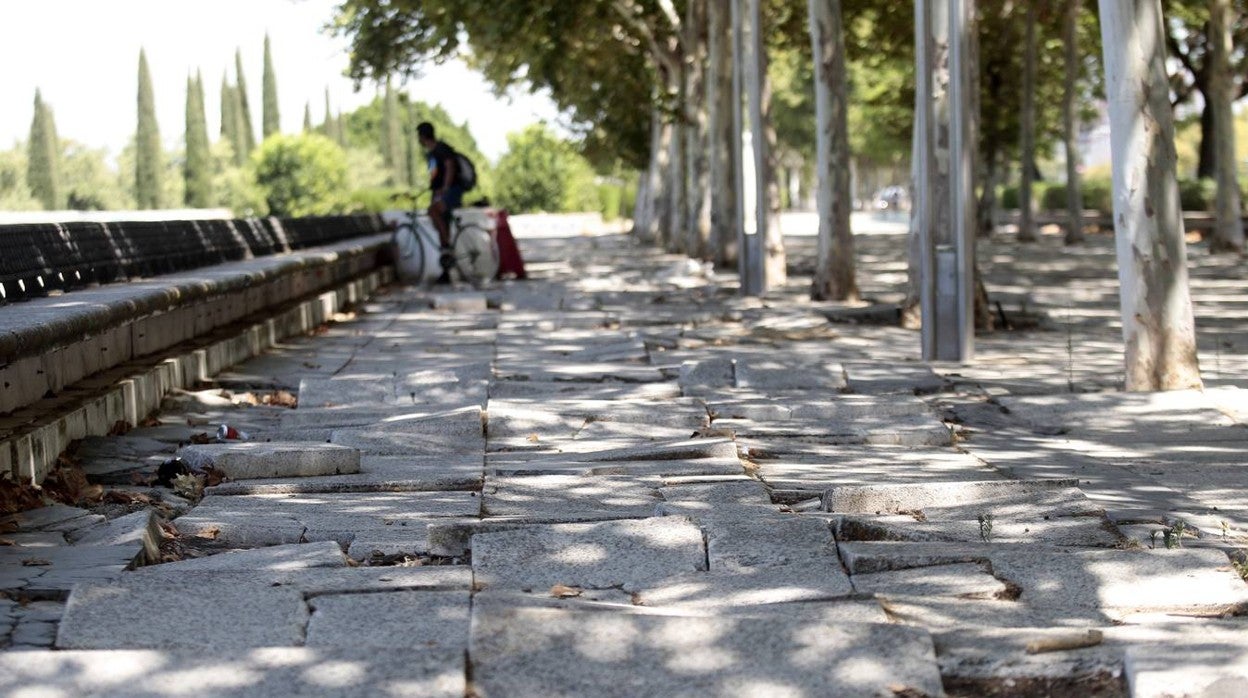 Así están las calles de Sevilla tras años de mala conservación