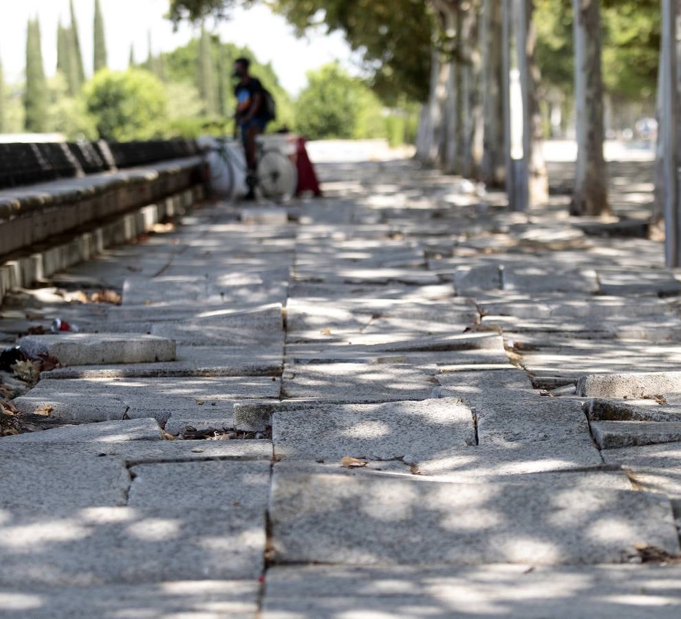 El paradigma de la falta de mantenimiento es Torneo,  donde este martes han comenzado las obras para su transformación en bulevar verde. La muralla de la Macarena o las columnas de la calle Mármoles son otros ejemplos