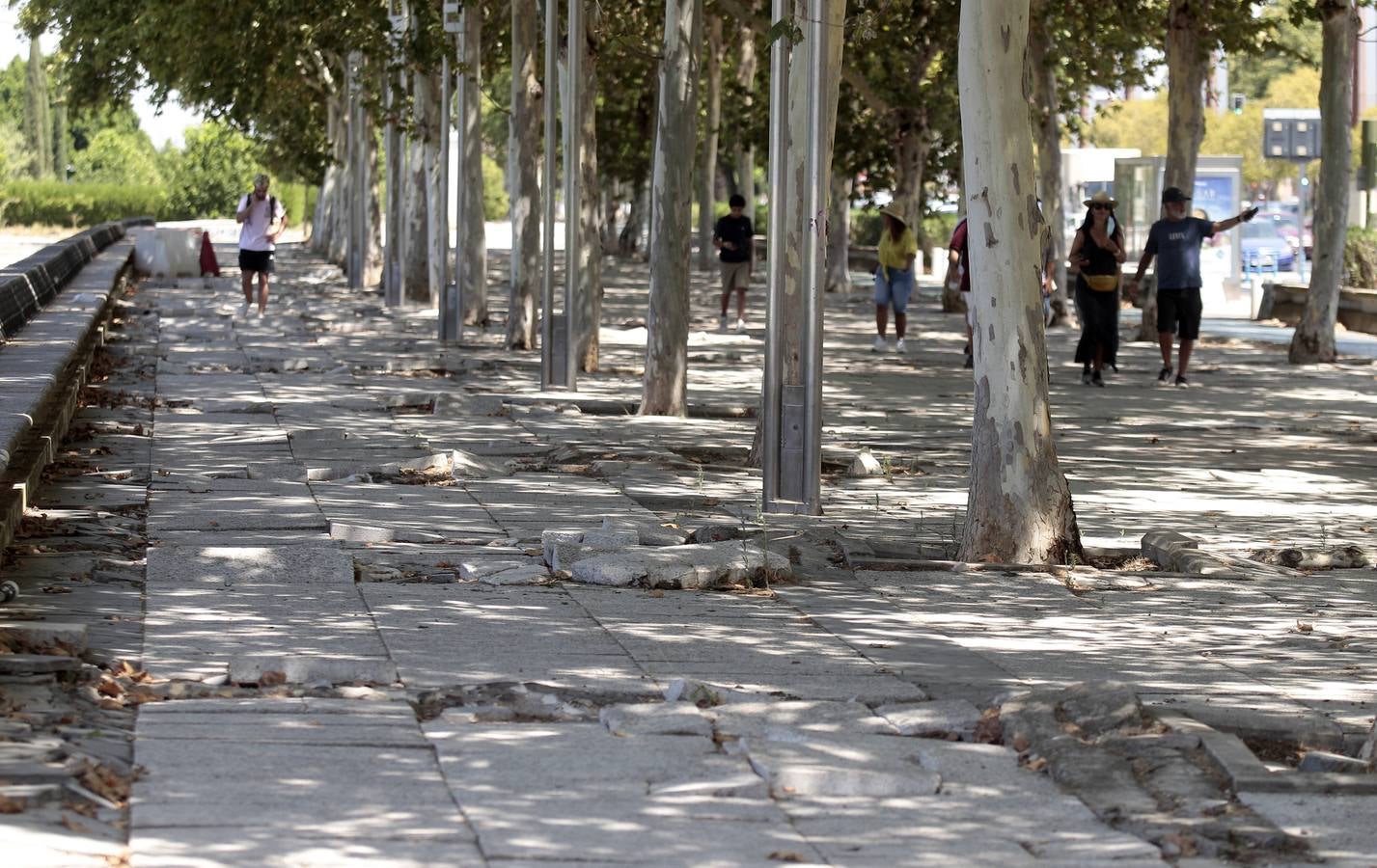 El paradigma de la falta de mantenimiento es Torneo,  donde este martes han comenzado las obras para su transformación en bulevar verde. La muralla de la Macarena o las columnas de la calle Mármoles son otros ejemplos