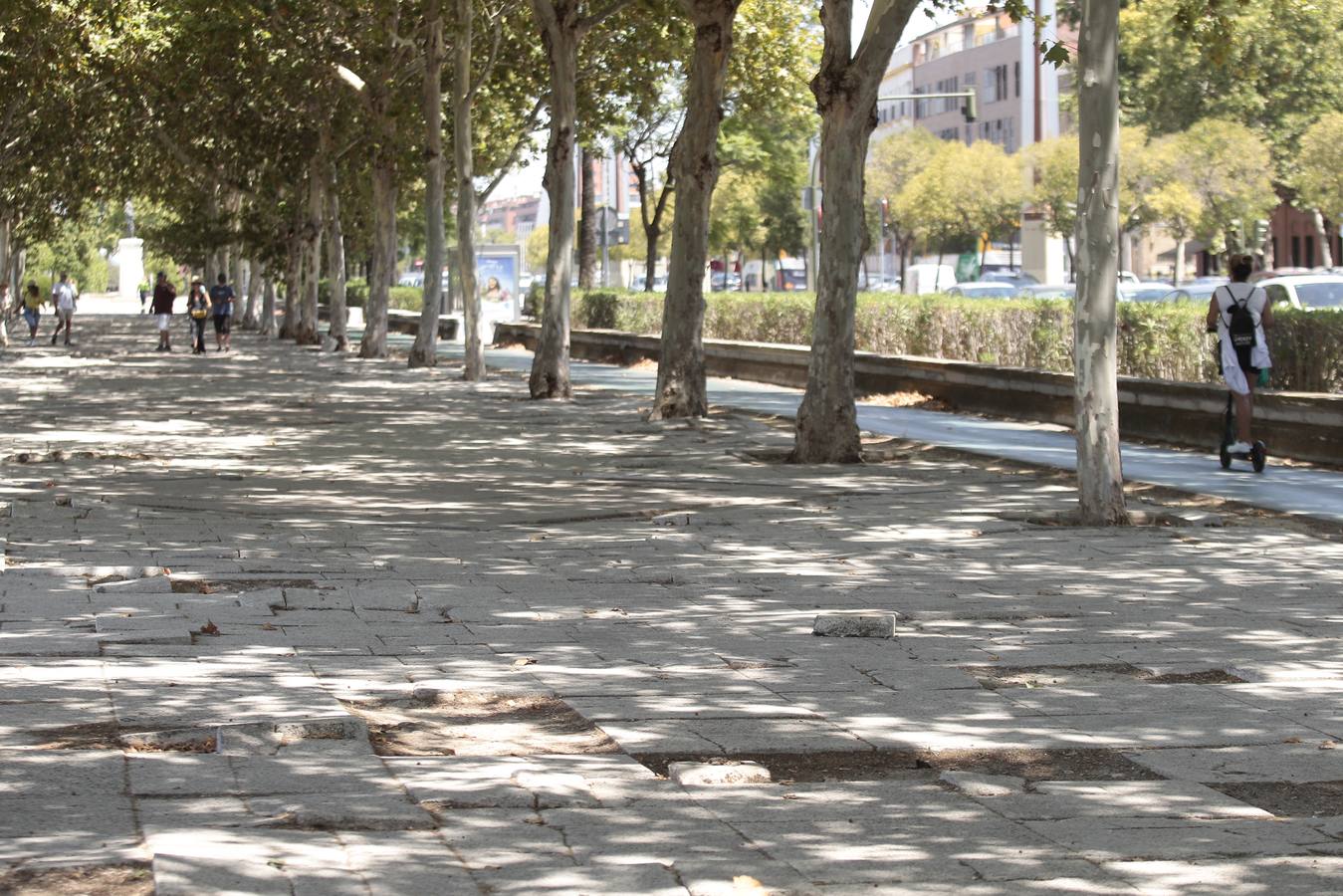 El paradigma de la falta de mantenimiento es Torneo,  donde este martes han comenzado las obras para su transformación en bulevar verde. La muralla de la Macarena o las columnas de la calle Mármoles son otros ejemplos