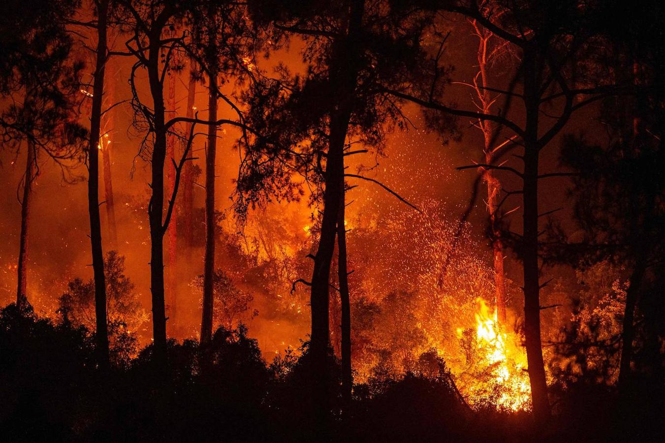 Incendio forestal en el distrito de Marmaris en Mugla, Turquía.. 