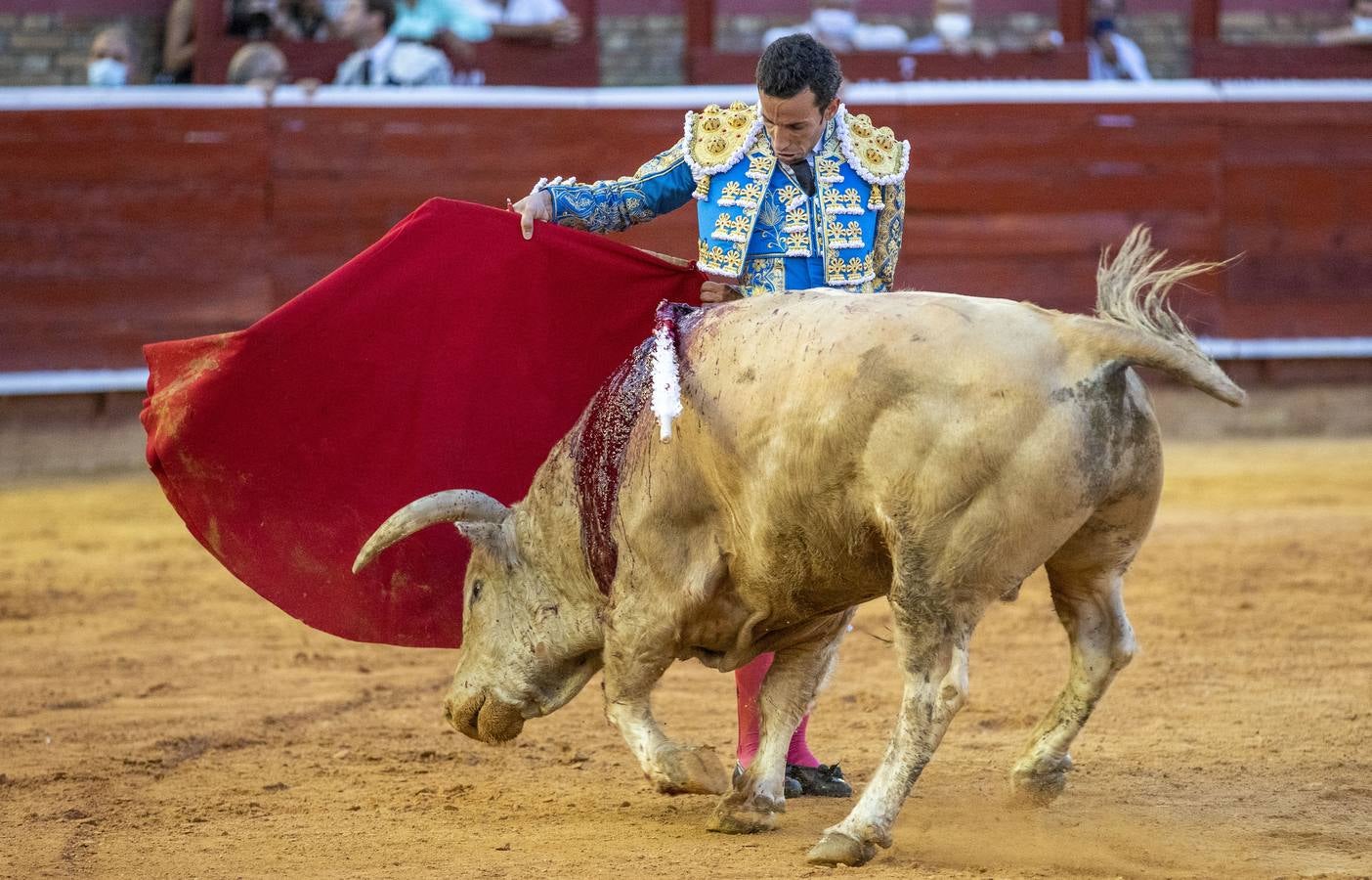 Los astados de esta última corrida llevaban el hierro y la divisa de Juan Pedro Domecq