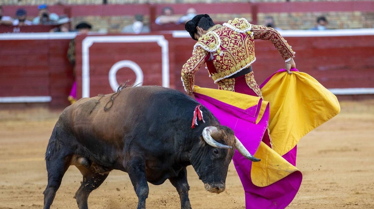 Colombinas: el triunfo de Roca Rey y el &#039;indultazo&#039; de Perera, en imágenes