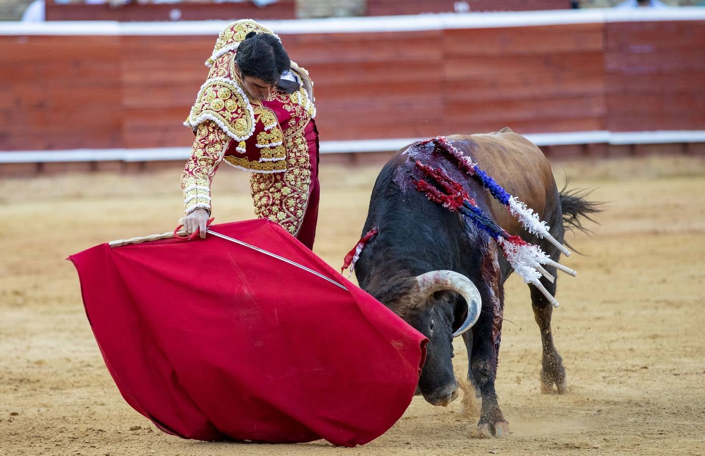 Los astados de esta última corrida llevaban el hierro y la divisa de Juan Pedro Domecq