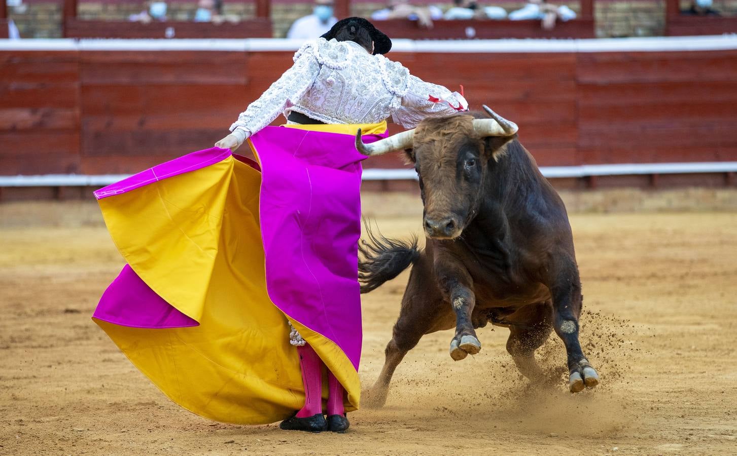 Los astados de esta última corrida llevaban el hierro y la divisa de Juan Pedro Domecq