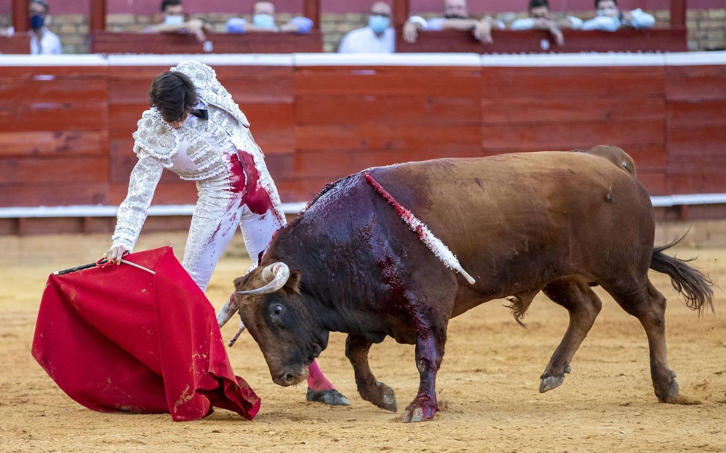 Los astados de esta última corrida llevaban el hierro y la divisa de Juan Pedro Domecq