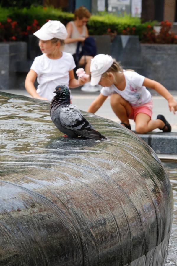En imágenes, Córdoba se prepara para la gran ola de calor del verano