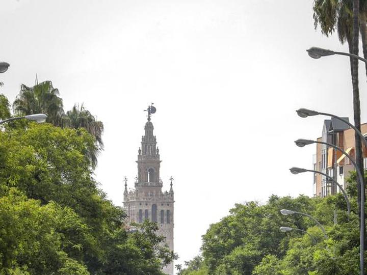 Las peores previsiones meteorológicas no se cumplieron y la temperatura fue este sábado en Sevilla muy alta, pero no de récord