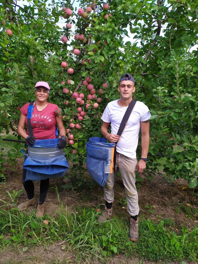 Los temporeros gaditanos parten a la vendimia en Francia