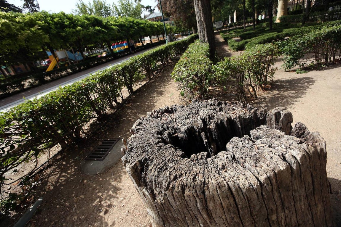 El Paseo de la Vega, en imágenes