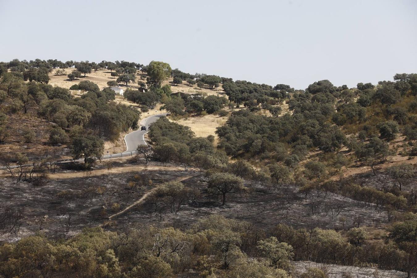 La extinción del incendio forestal de Villaharta, en imágenes