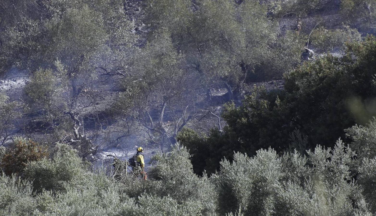 La extinción del incendio forestal de Villaharta, en imágenes